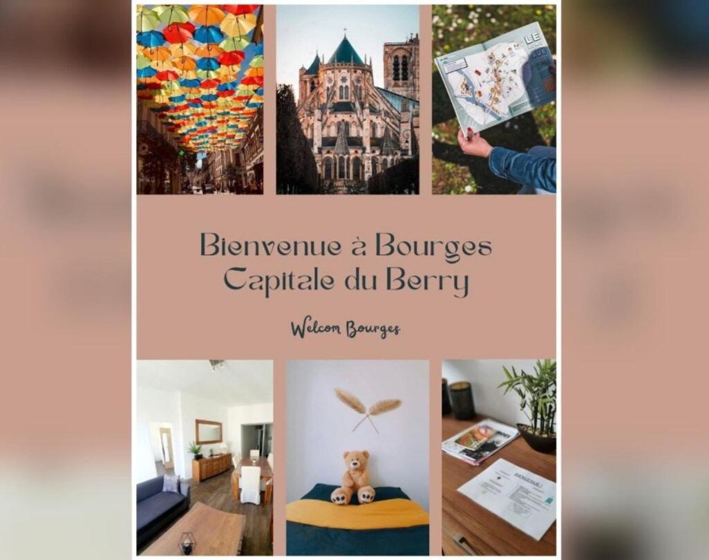 Apartament Lumineux & Convivial Bourges Zewnętrze zdjęcie